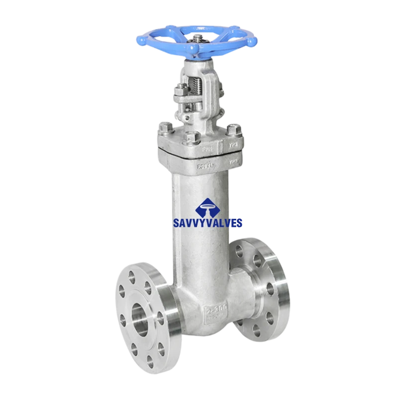 2″-300LB SS Bellow Seal Gate Valve