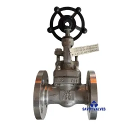 Globe Valves: Precision Control for Every Application