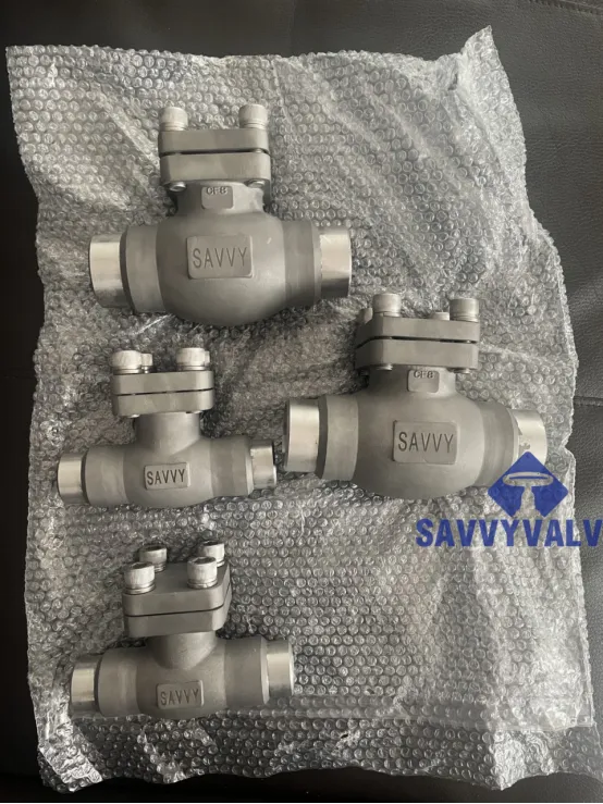 Experience the Reliability of Lift Check Valves