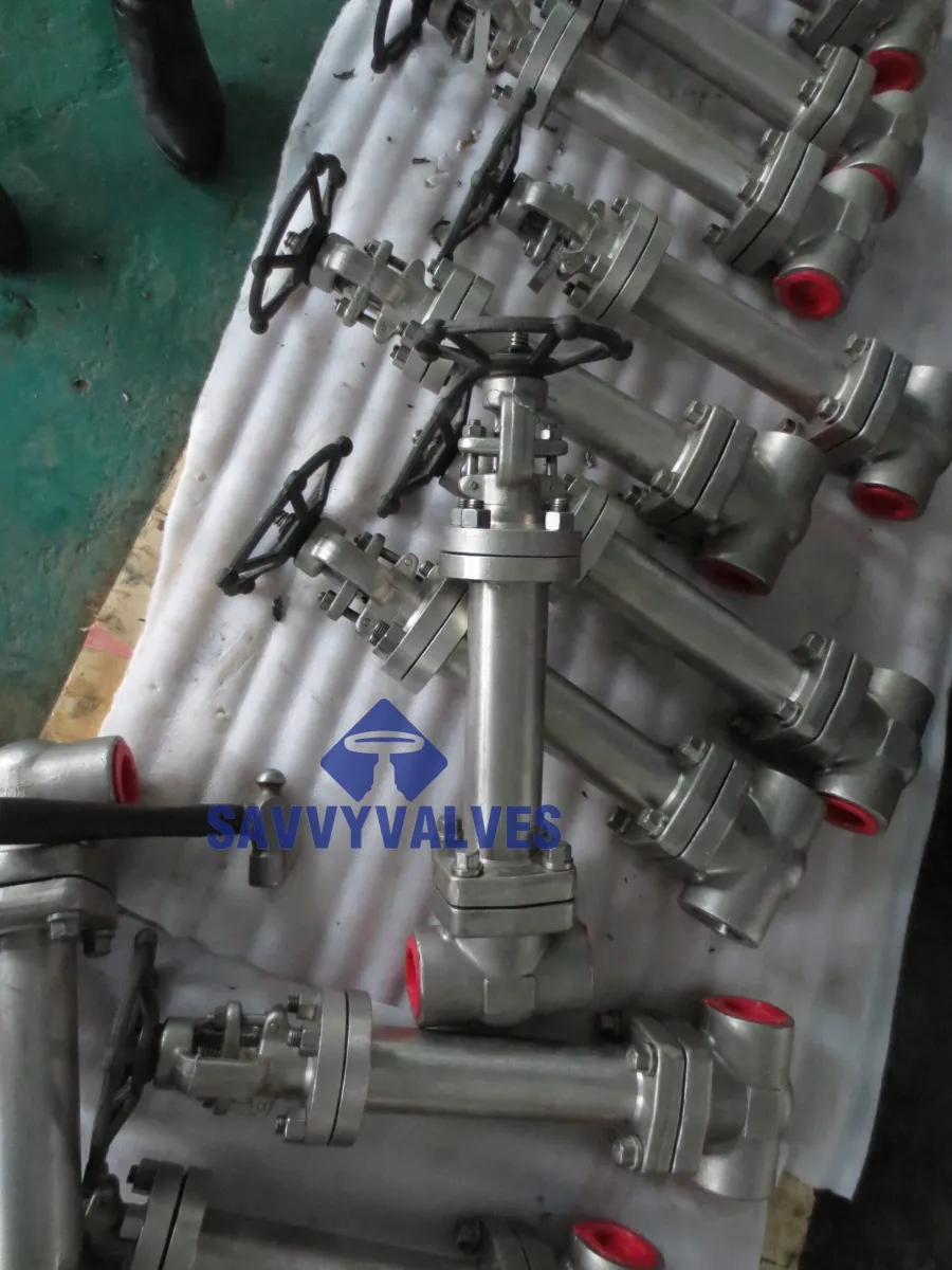 Reliable Forged Cryogenic Gate Valve - Industrial Solutions