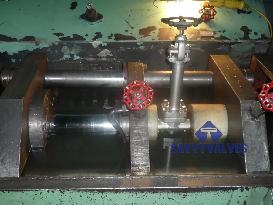 Reliable Forged Cryogenic Gate Valve - Industrial Solutions