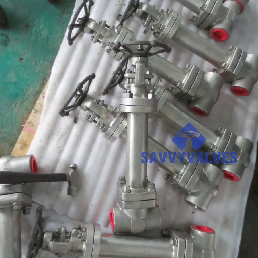 Reliable Forged Cryogenic Gate Valve - Industrial Solutions
