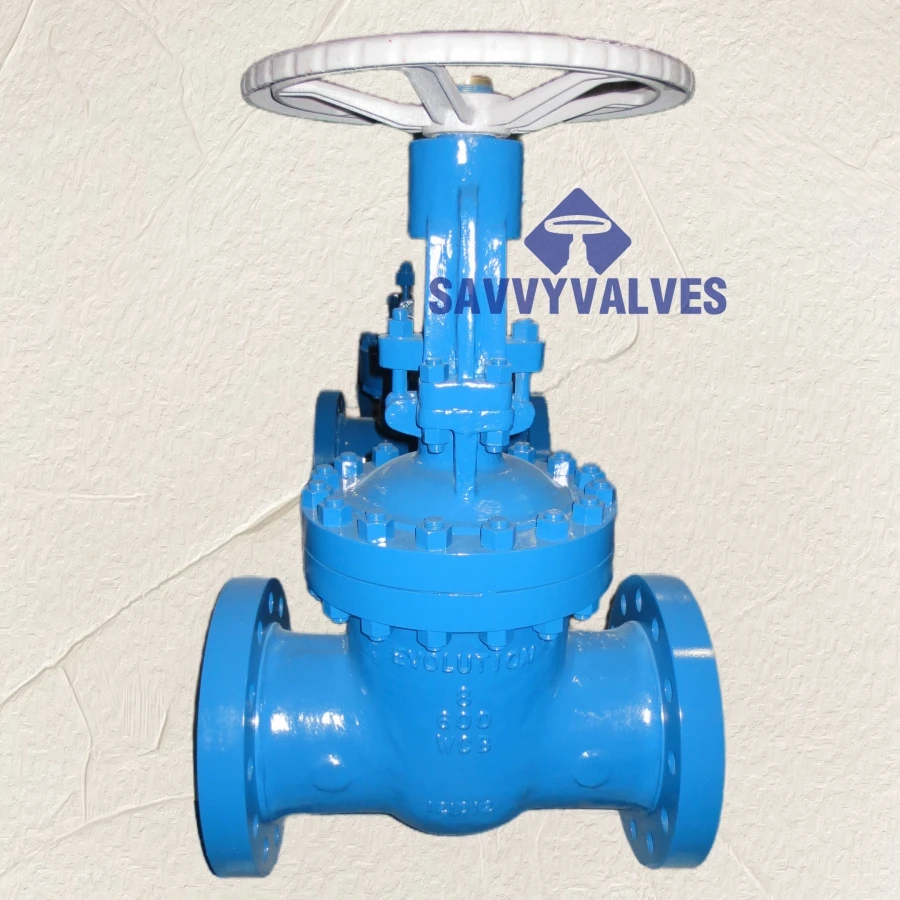 Manual gear flexible wedge gate valve