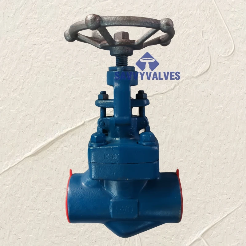 API 602 pattern forged globe valve