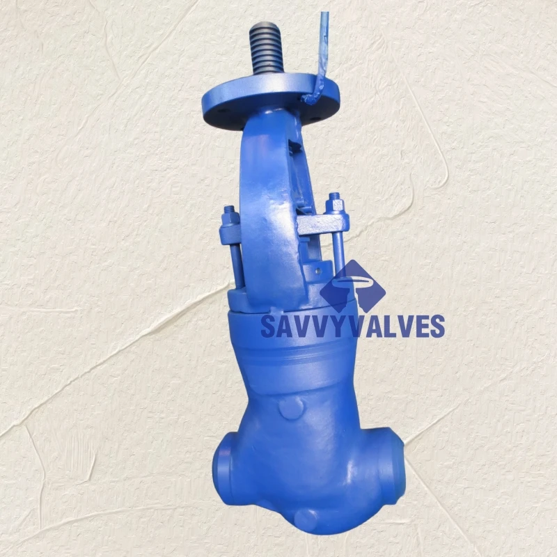 PSB Globe valve thermal duty