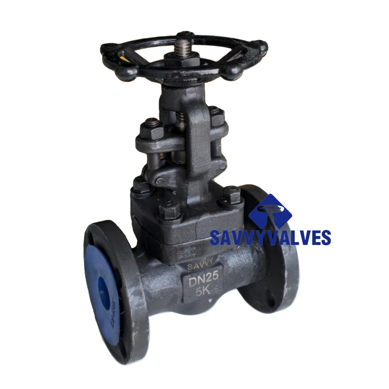A350 LF2 JIS 5K Gate Valve