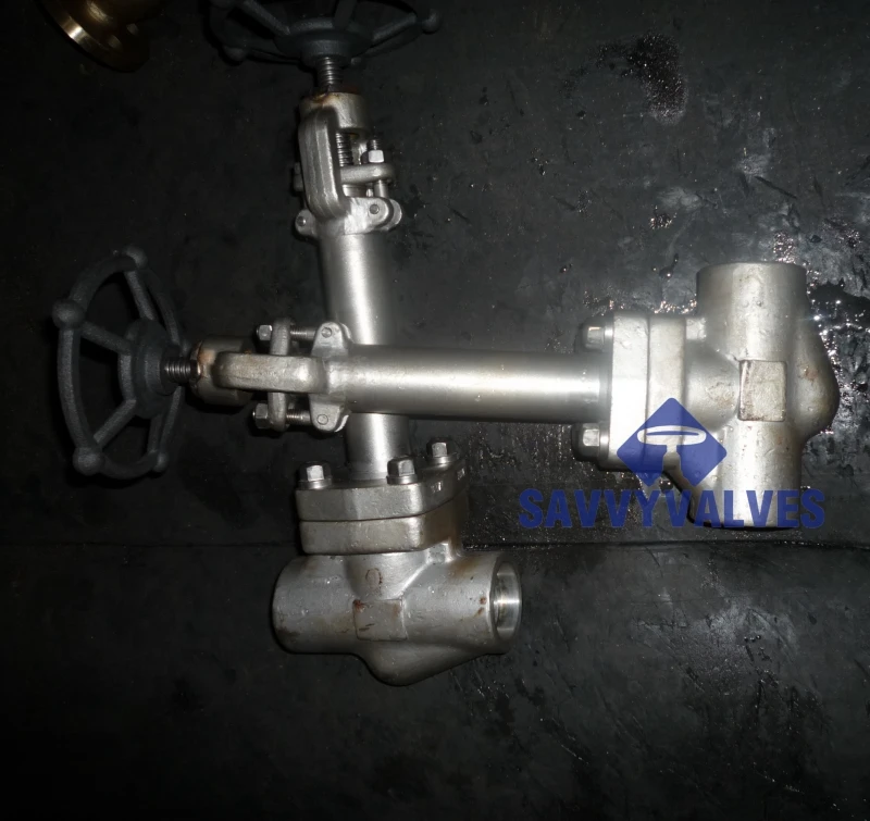 SAVVY Pattern forged globe valve CNG LNG LPG