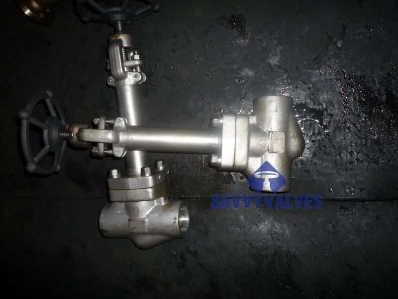 CNG LNG LPG Pattern forged globe valve