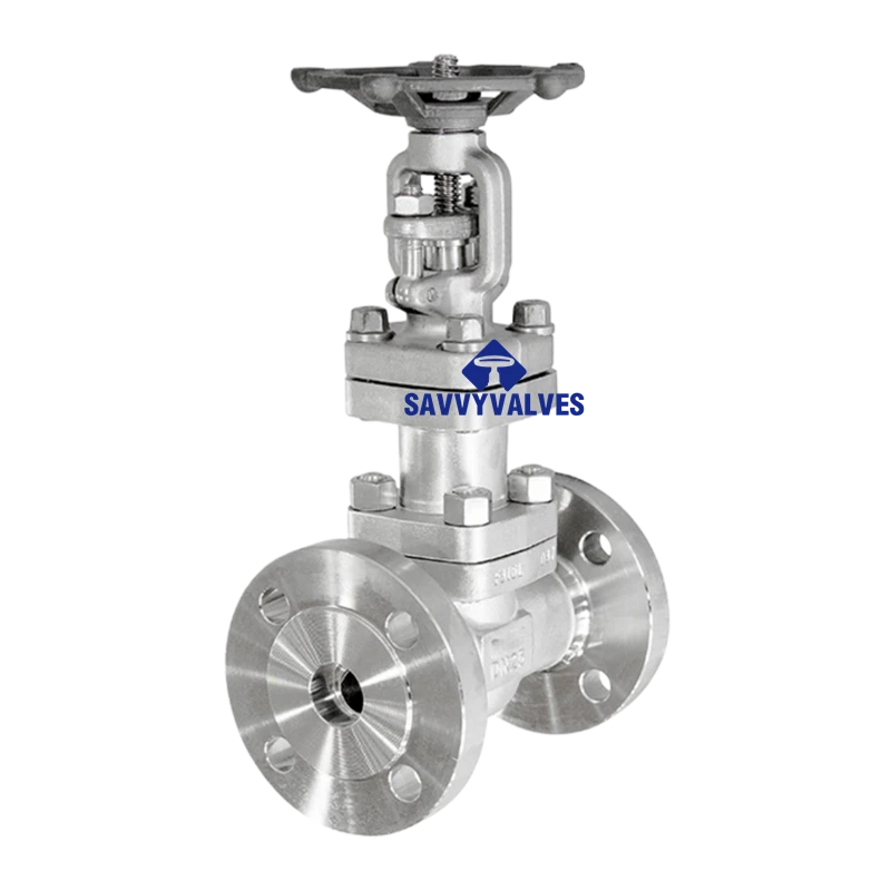 DN80-PN16 SS Bellow Seal Globe Valve
