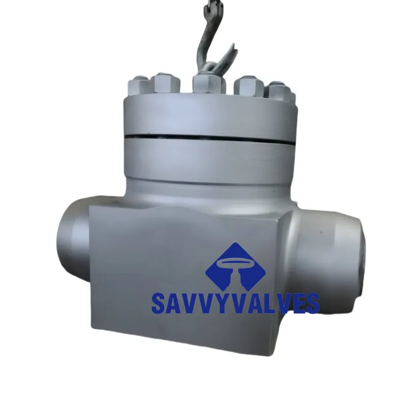 Durable 2500LB LTCS Forged Steel Swing Check Valve for High Pressure