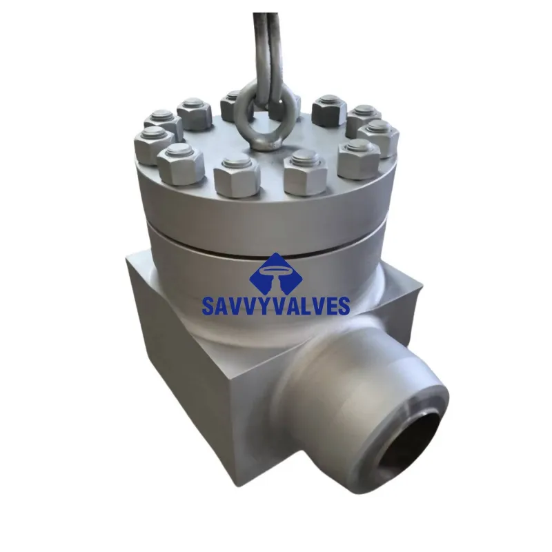 Durable 2500LB LTCS Forged Steel Swing Check Valve for High Pressure