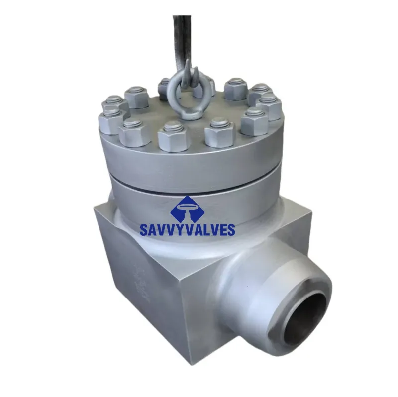 Durable 2500LB LTCS Forged Steel Swing Check Valve for High Pressure