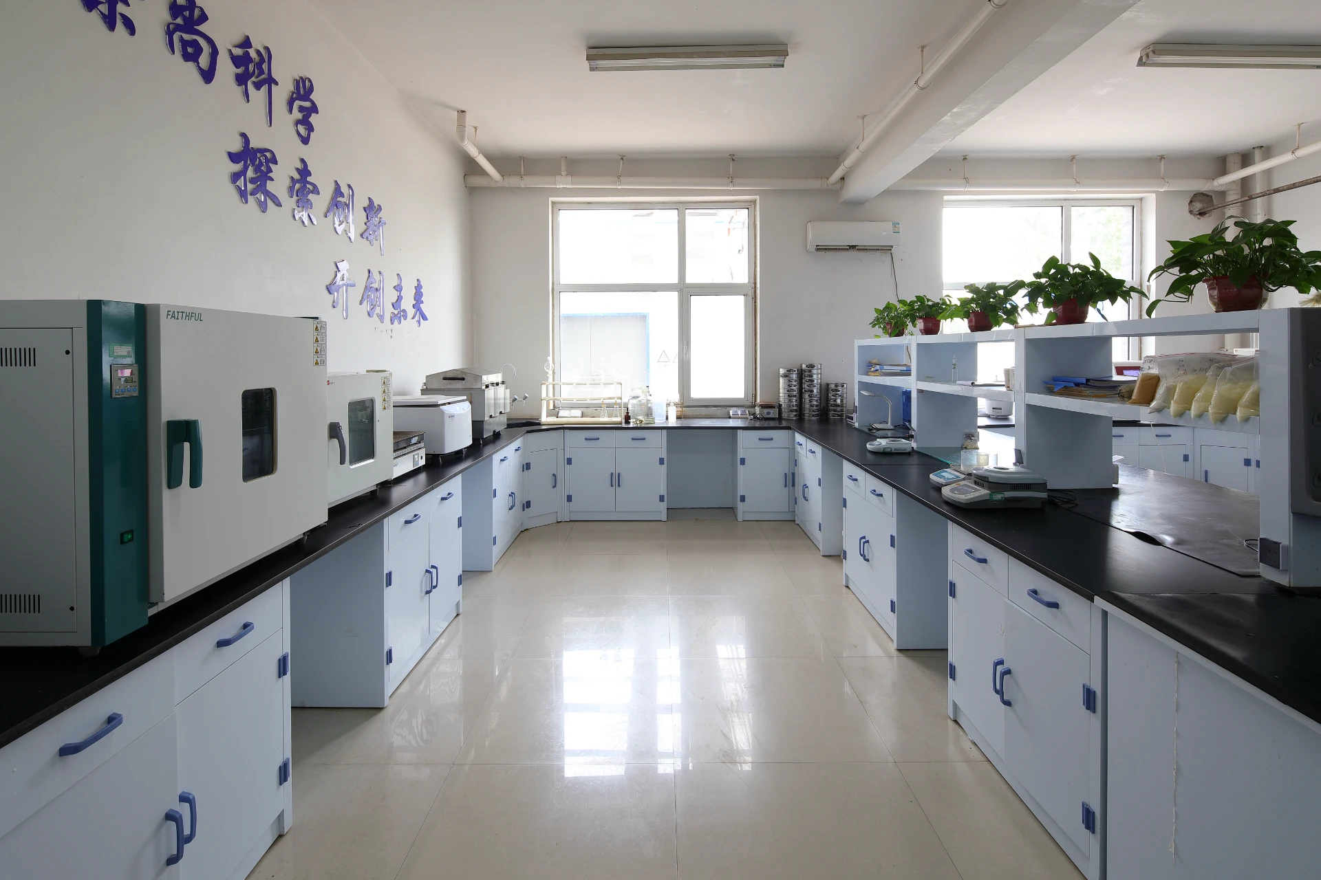 Chelating Ion Exchange Resin Research Grade Quality