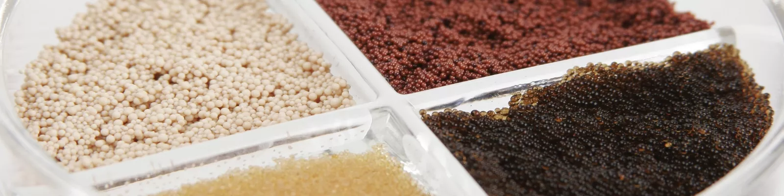 mixed bed resin suppliers