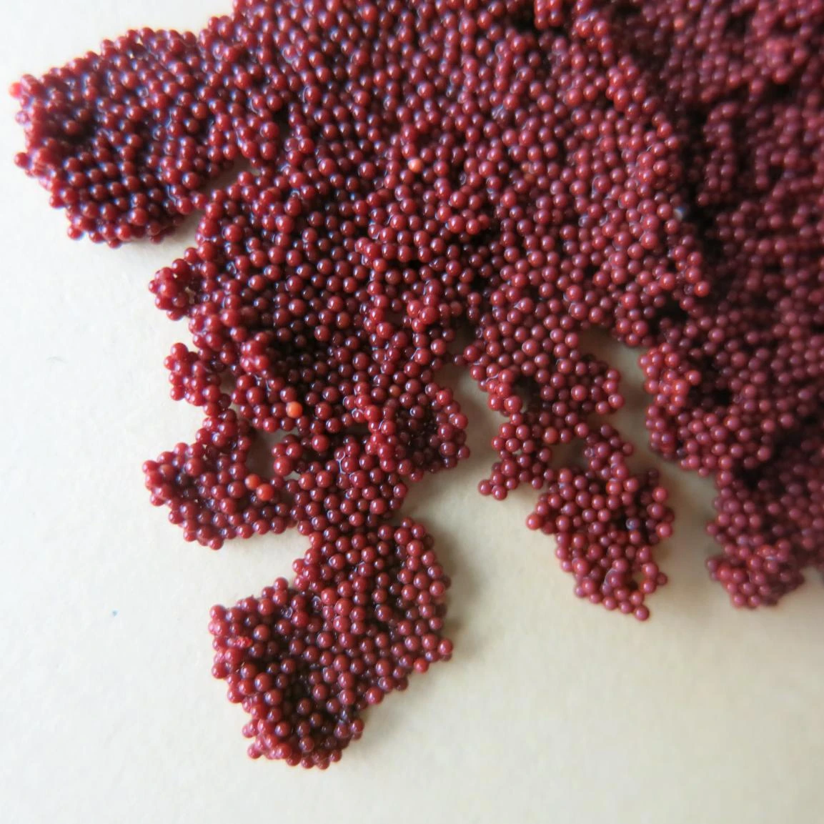 Macroporous Adsorption Resin AD300