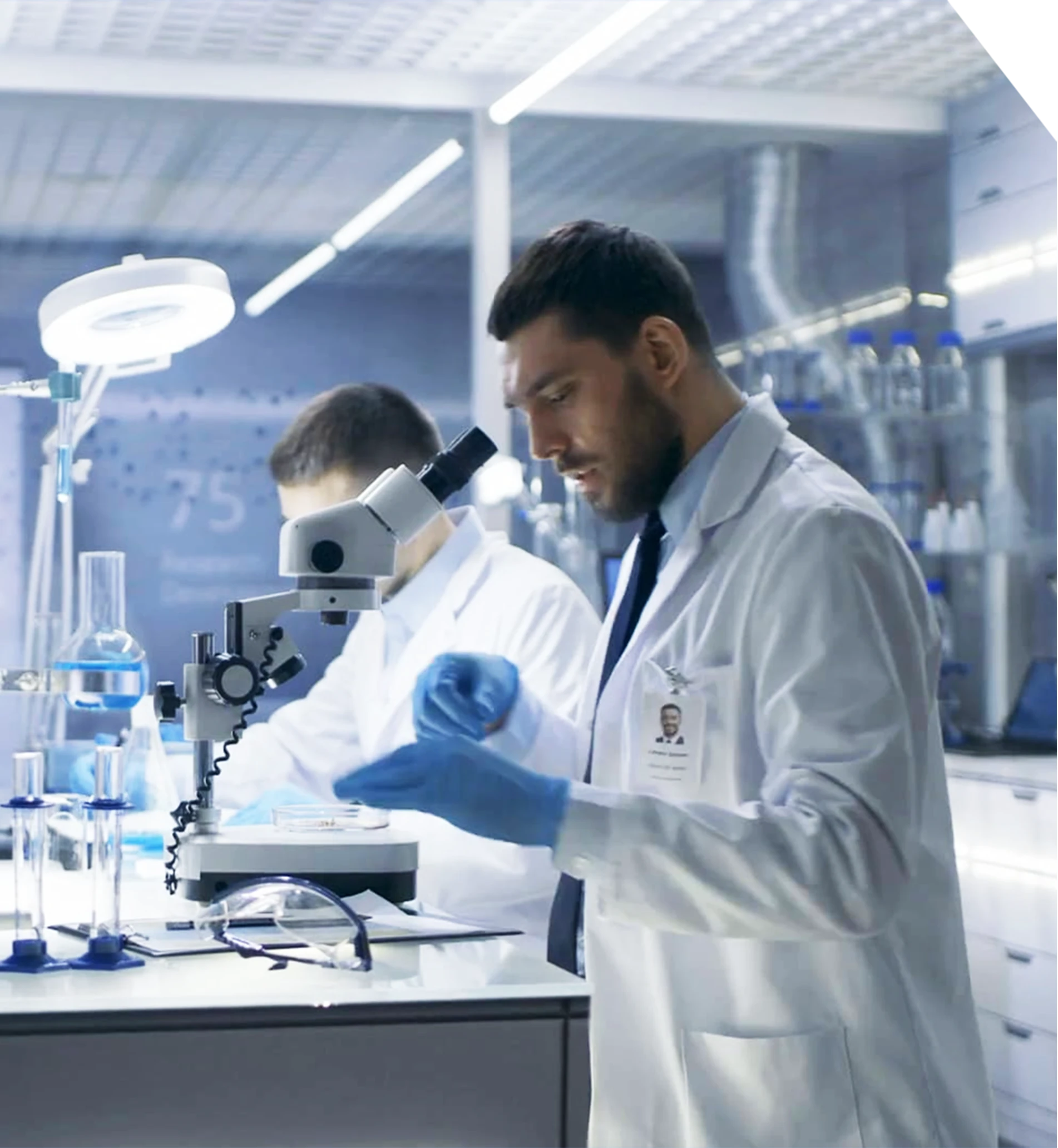 mixed bed resin suppliers