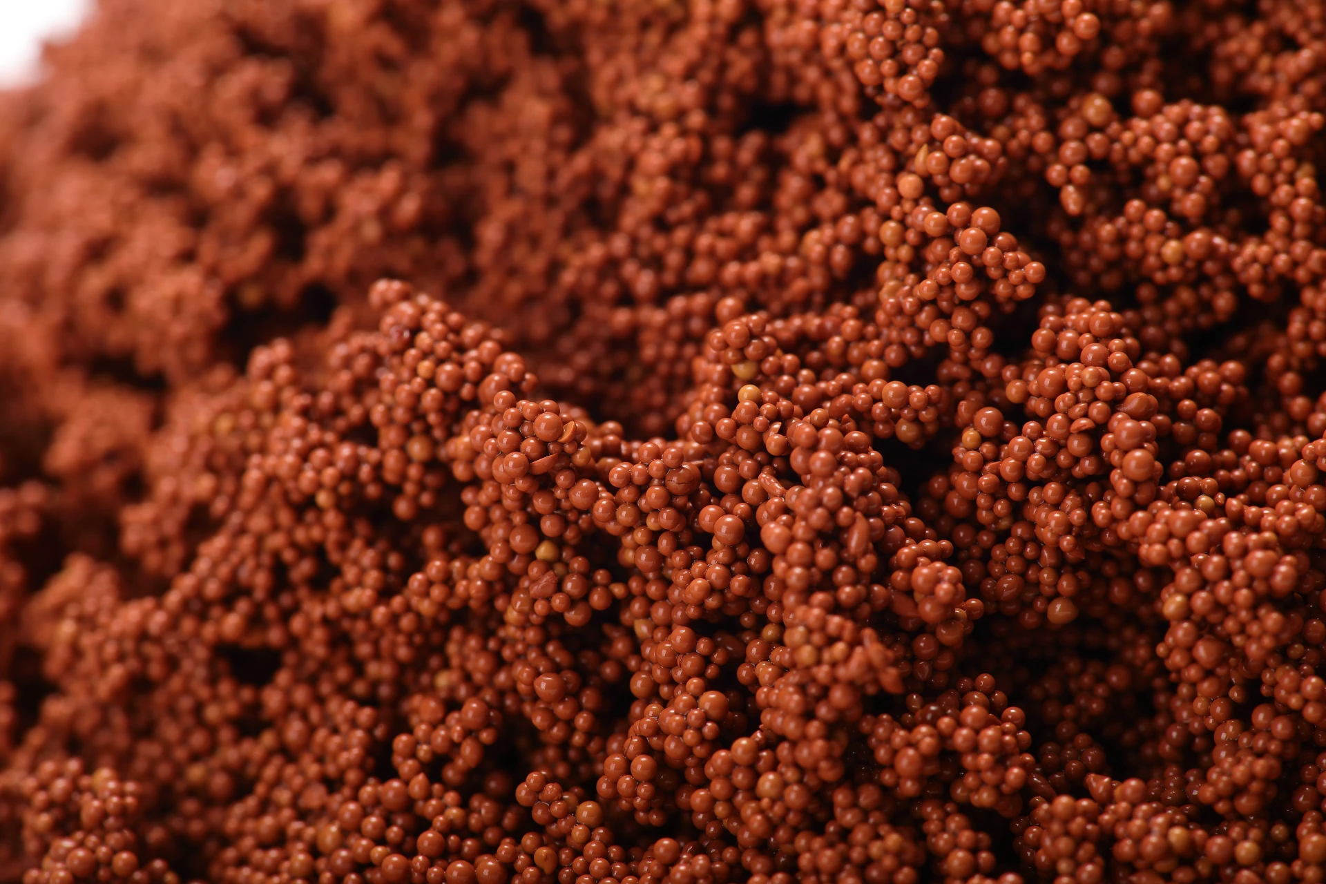 Best Polish for Resin – Durable, High Gloss Finishes Made Easy