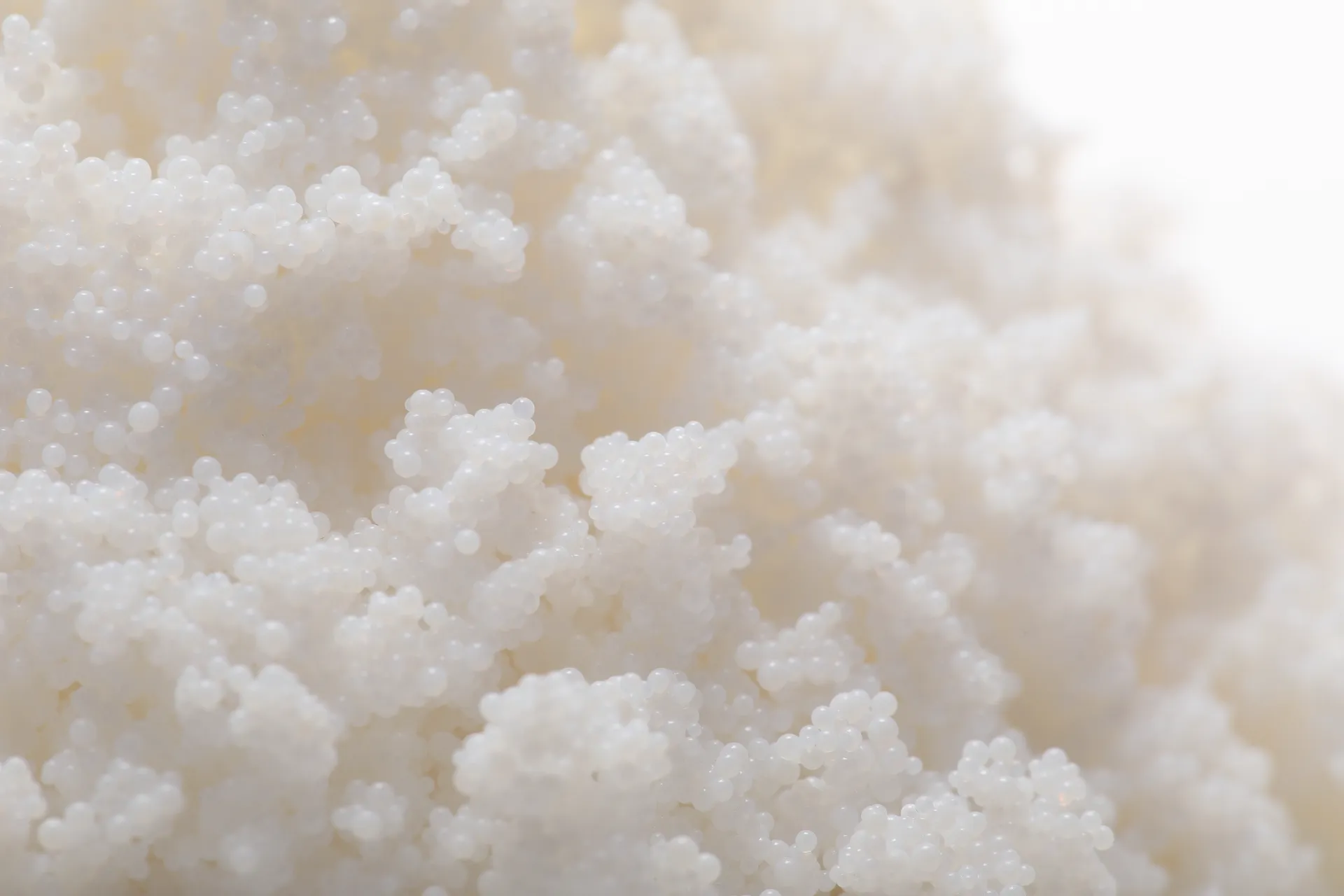 Macroporous Adsorption Resin AB-8