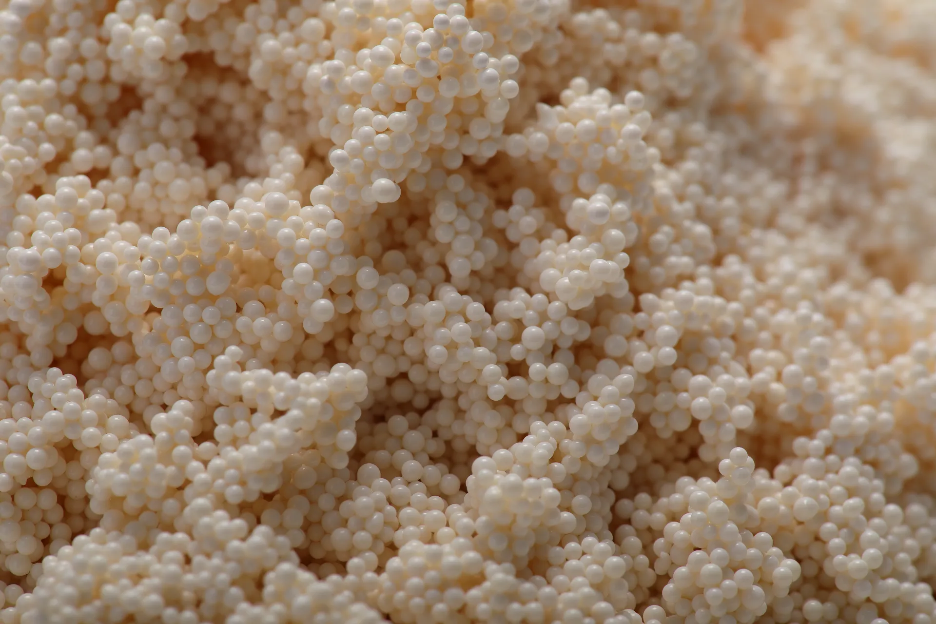 Weak Base Anion Resin: High Capacity, Fast Kinetics?