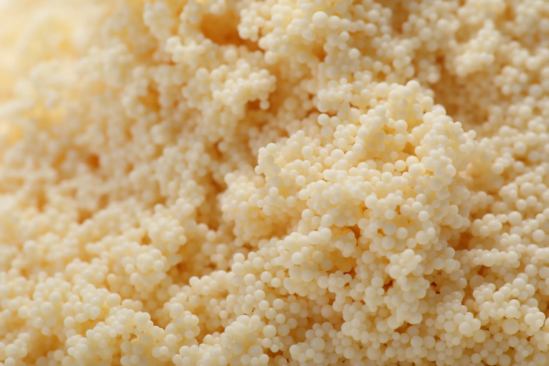 Weak Acid Cation Exchange Resin D113