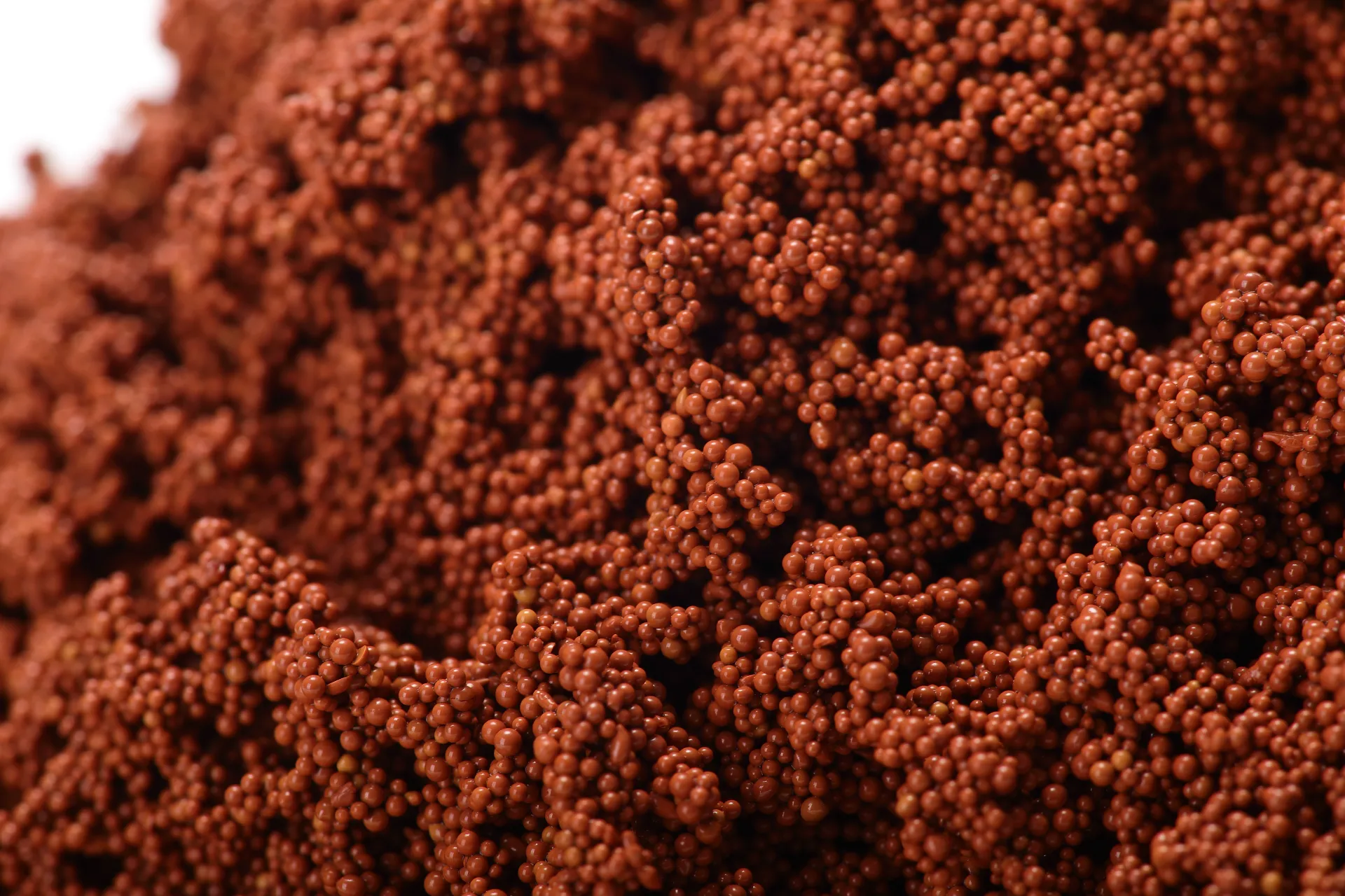 Macroporous Adsorption Resin AD300