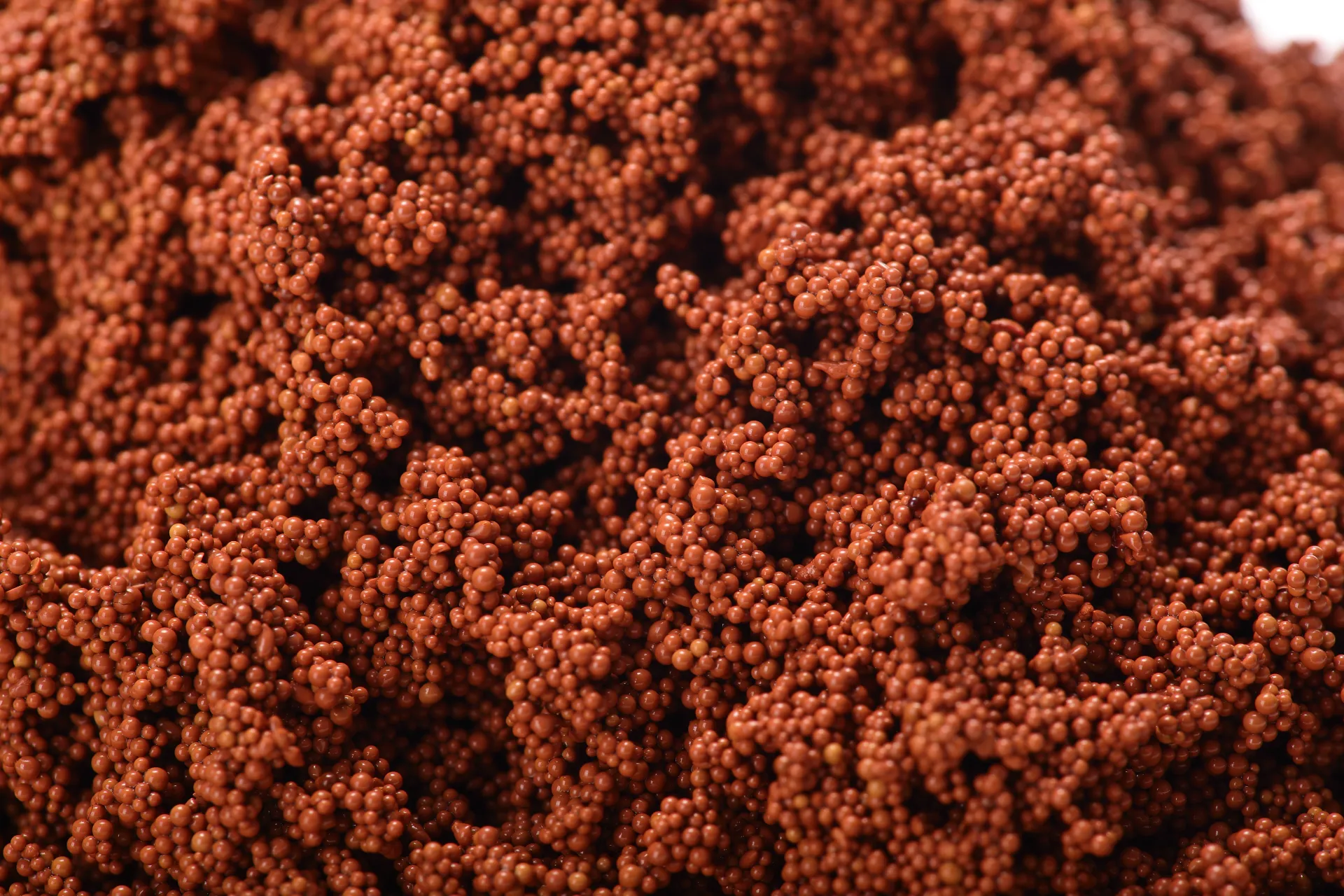 Macroporous Adsorption Resin AD300