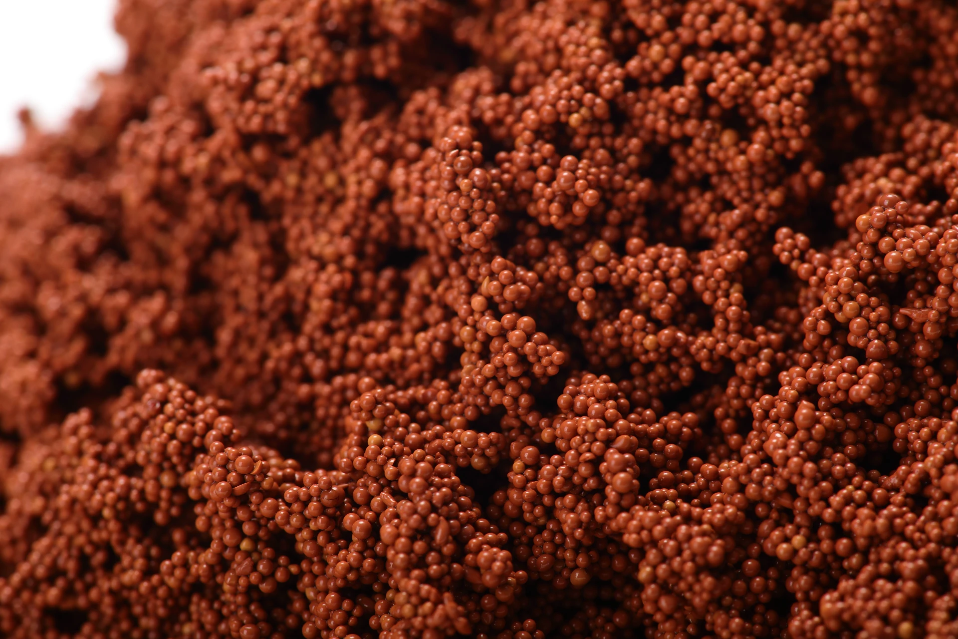 Macroporous Adsorption Resin H103