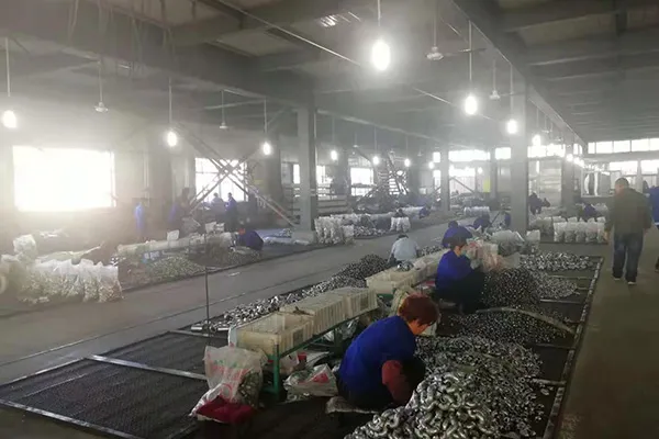 pipe fittings wholesale