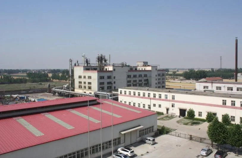 drug discovery development