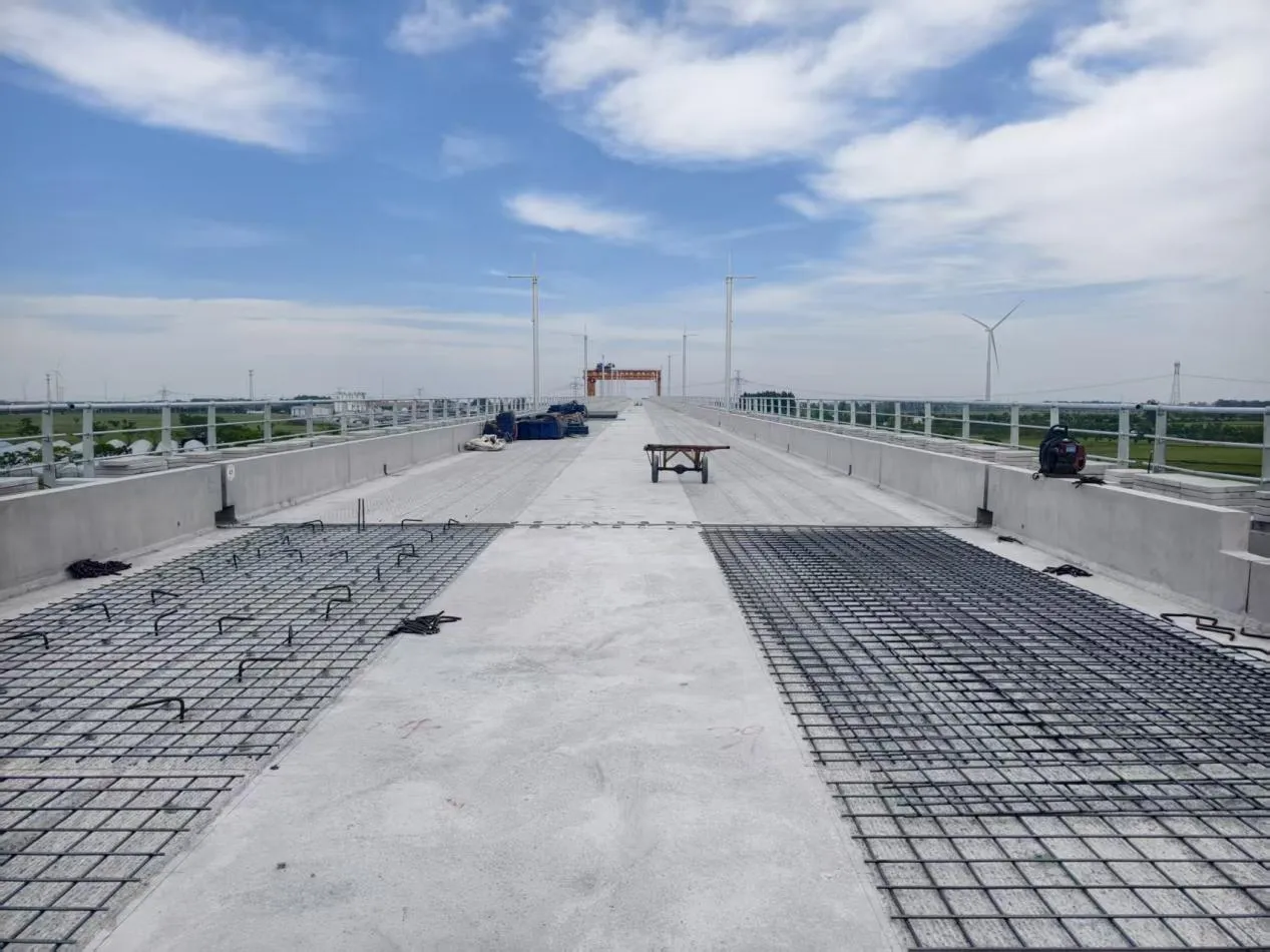 Galvanized Welded Wire Mesh