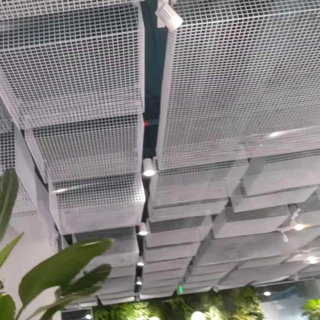 Galvanized Welded Wire Mesh