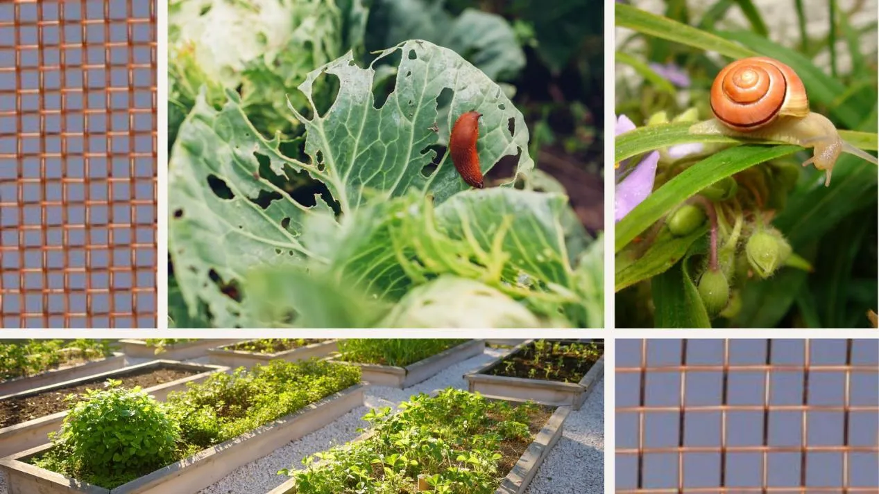 Read More About copper wire mesh