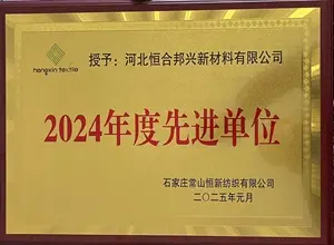 The company won the honorary title of “2024 exemplary organization”