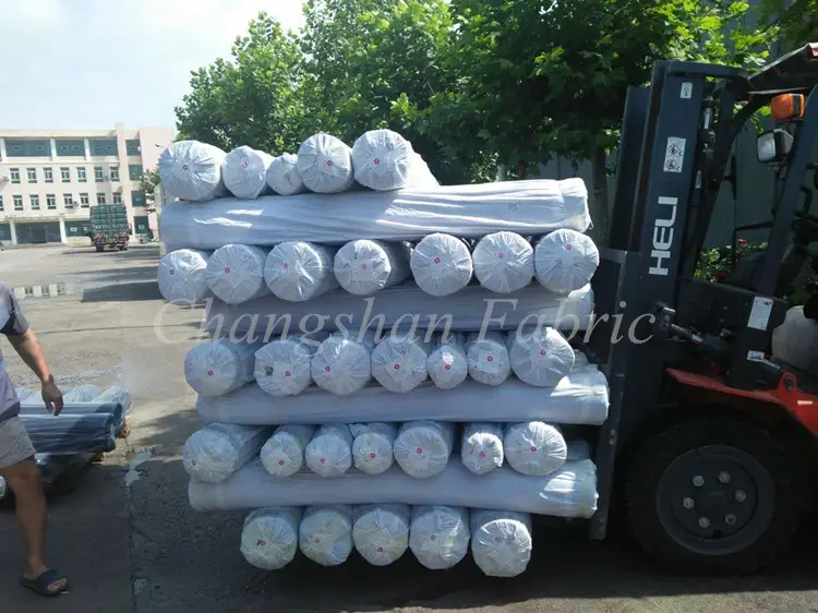 Flax Home Textile Fabric