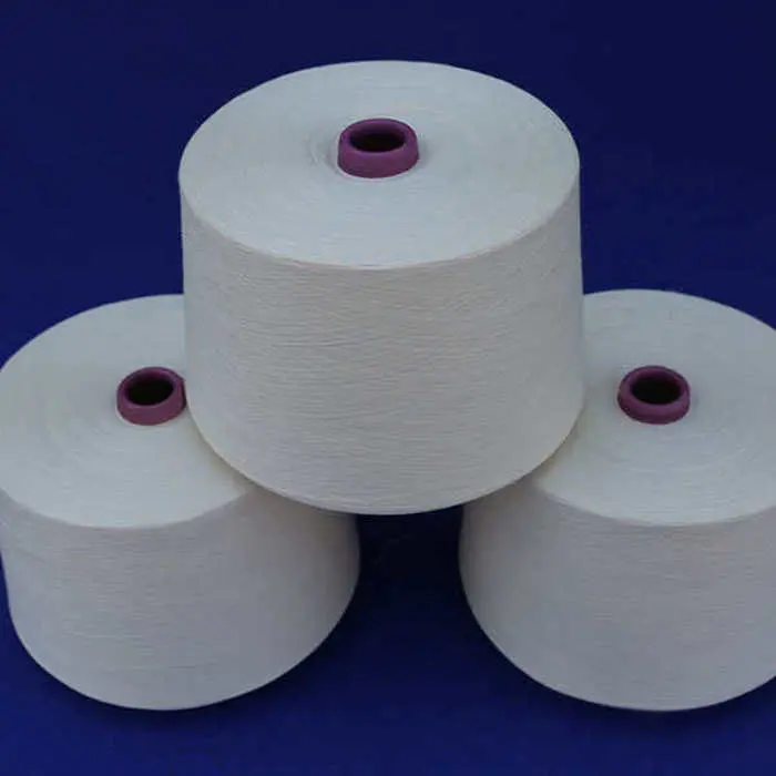 Compat Ne 30/1 100%Recycle Polyester Yarn