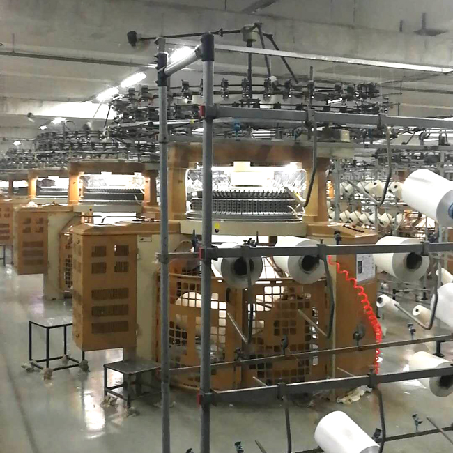 Combed Cotton Bird Eye Knitting Fabric for Training T- shirt