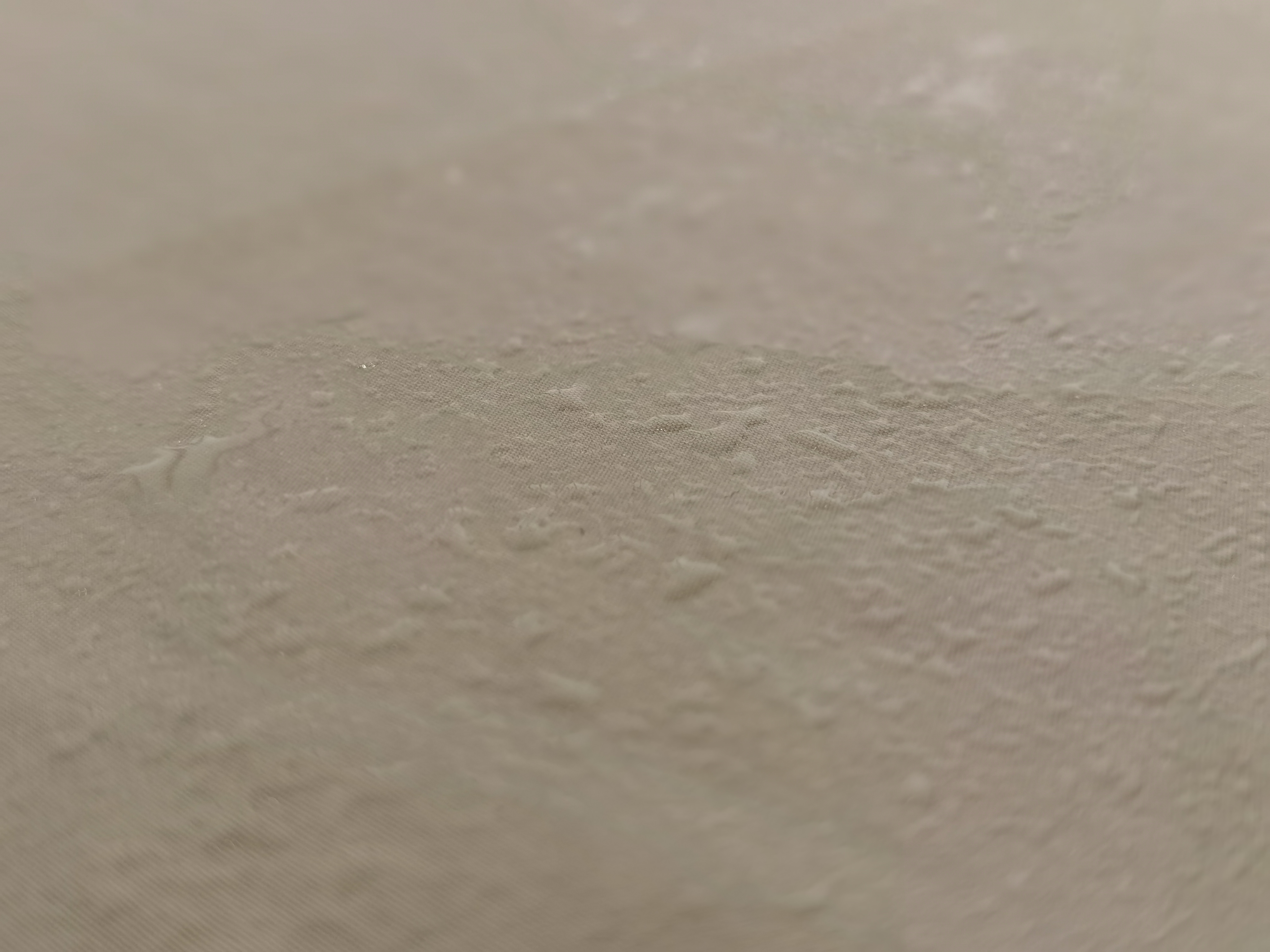 Cotton Nylon Plain Dyed Coated Fabric