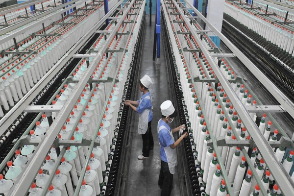 Ne 60/1 Combed Compact BCI Cotton Yarn