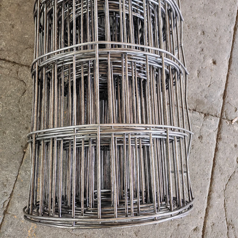 Galvanized Wire Mesh