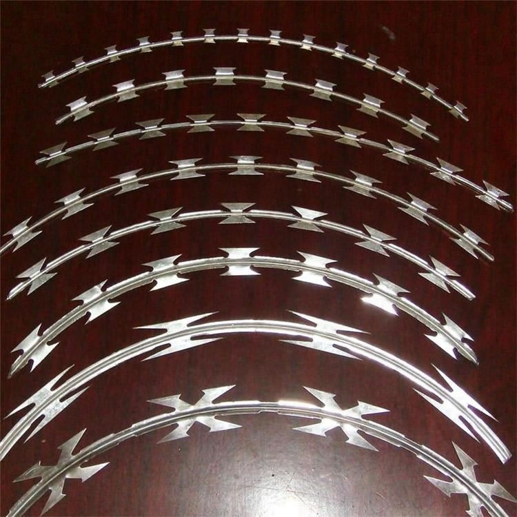 The Importance of Military Concertina Wire and Prison Razor Wire Fence Systems in Modern Prisons