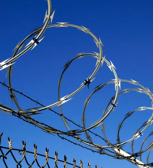 Razor Barbed Wire and Concertina Fence Systems: A Complete Guide to High-Security Perimeter Protection
