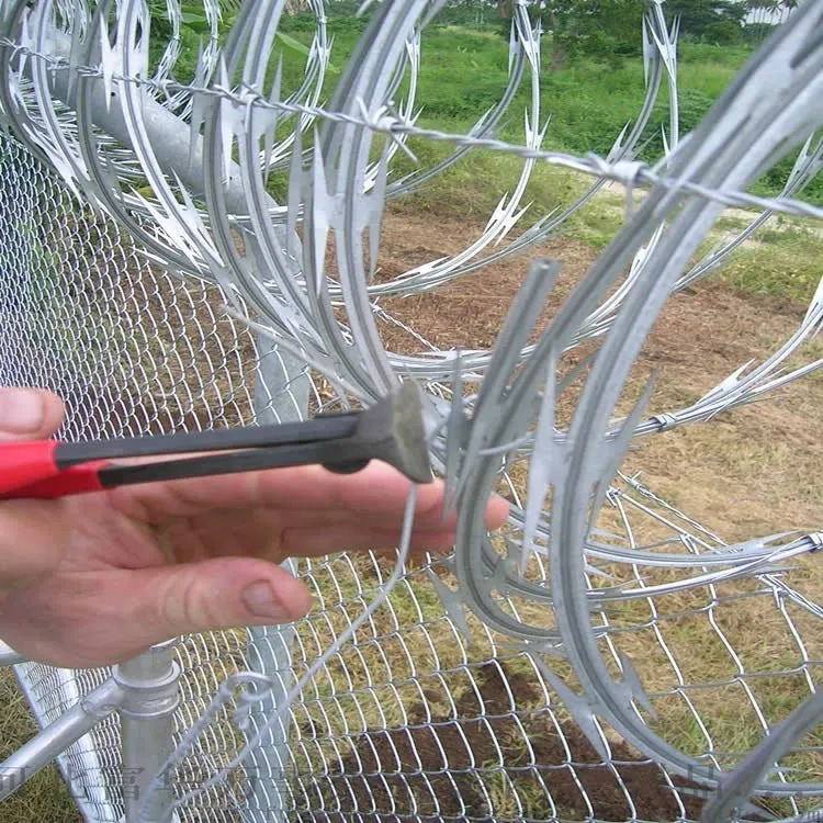 Deep Processing Development of Blade Wire Fencing and Razor Wire Products