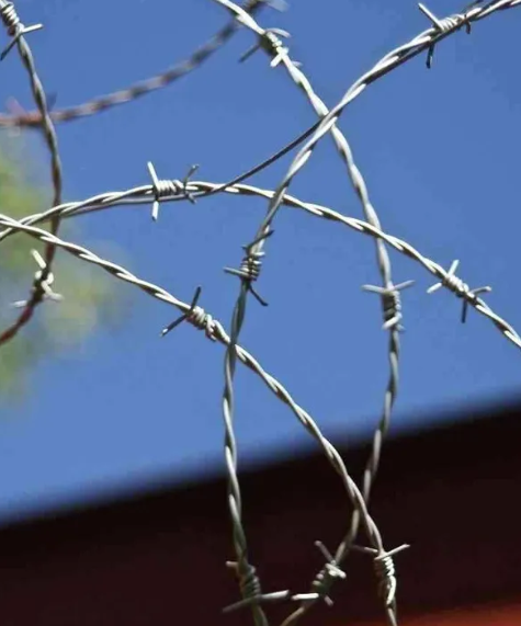 Innovative Applications and Wholesale Advantages of Metal Wire Products