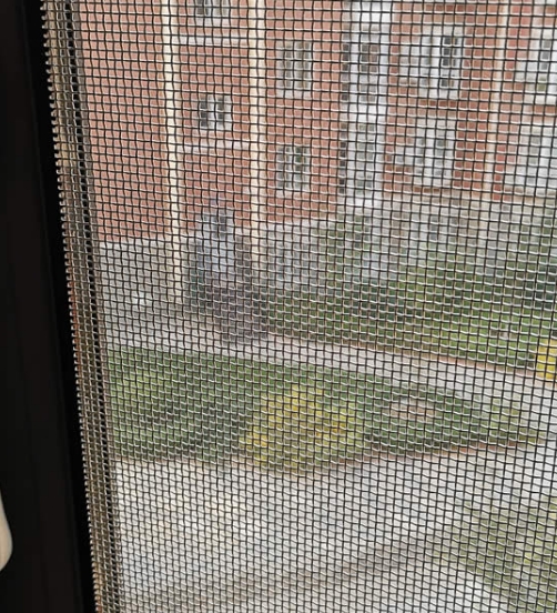 Premium Security Screen for Doors Windows Security Solutions Manufacturer