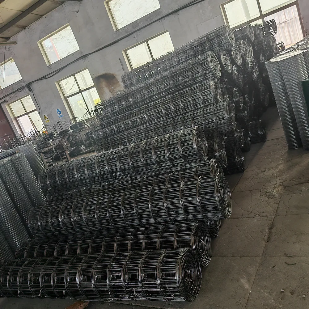 Premium Wire Mesh Products | Diverse Types, Wholesale Pricing