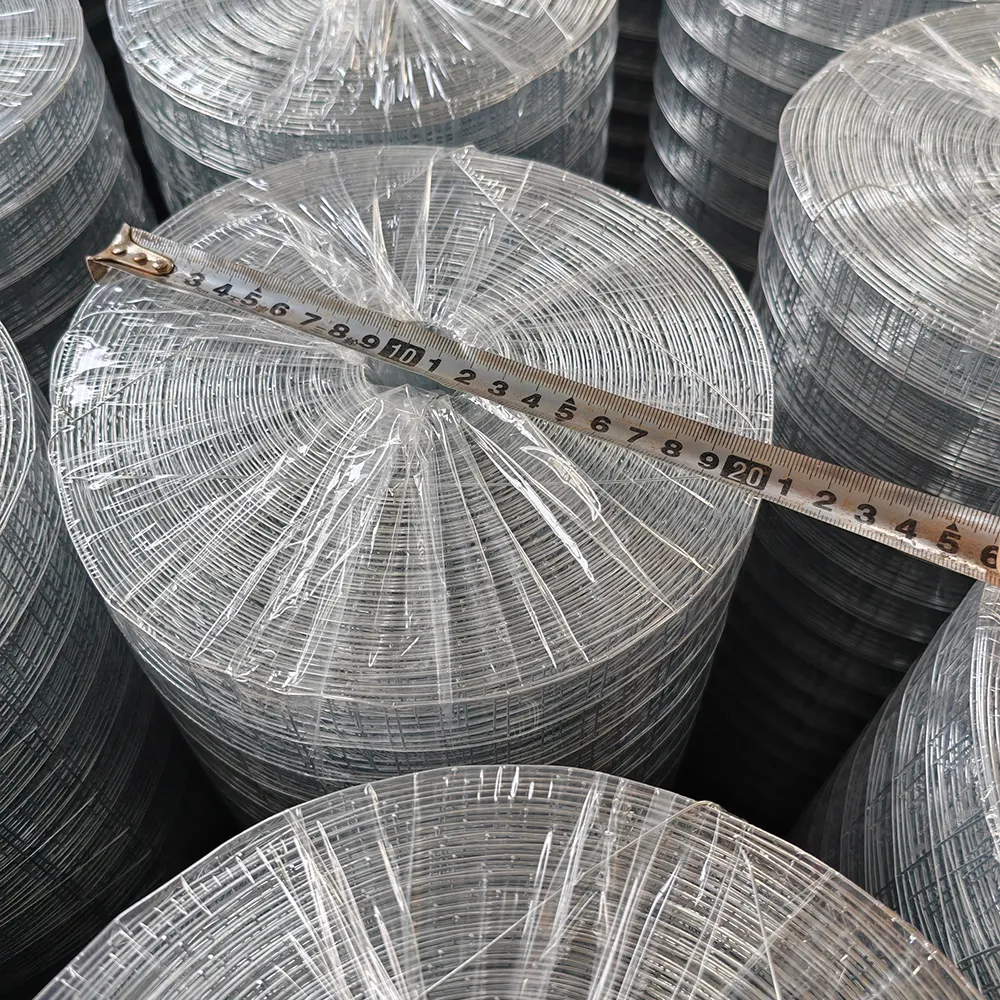 Premium Wire Mesh Products | Diverse Types, Wholesale Pricing