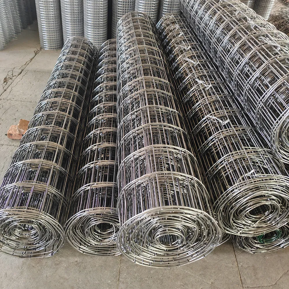 Premium Wire Mesh Products | Diverse Types, Wholesale Pricing