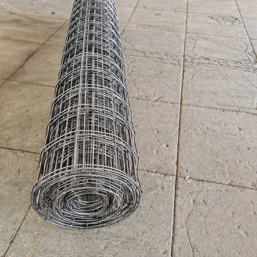 Premium Wire Mesh Products | Diverse Types, Wholesale Pricing
