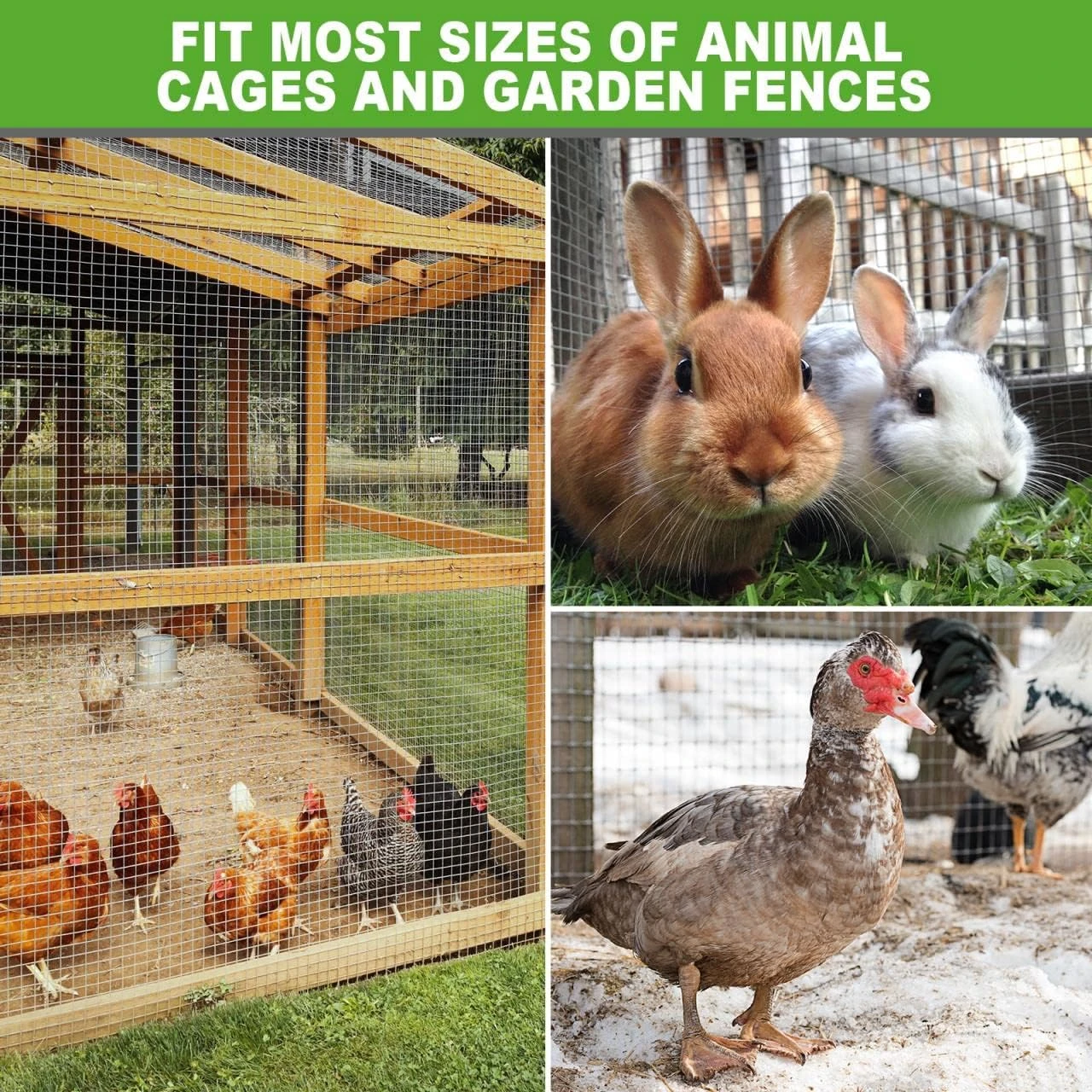 The poultry galvanized wire mesh cage is a durable, rust-resistant enclosure that provides excellent ventilation and protection for birds, ensuring safe, hygienic, and efficient poultry housing.