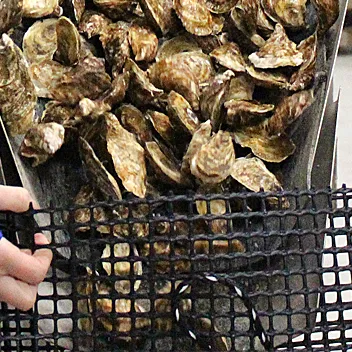 Expert Wire Mesh Fabricators - Custom Solutions & Quality Mesh